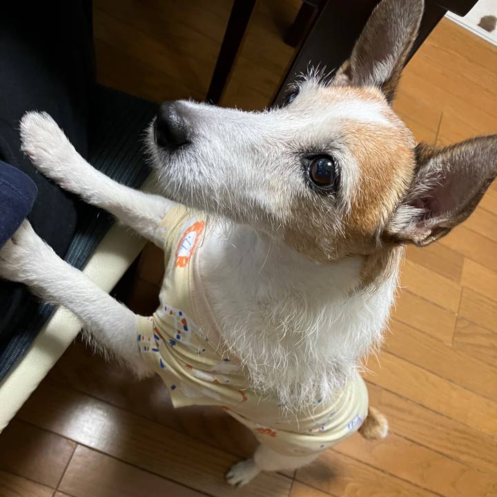 Cf32e900 920a 4dd5 be0b 4c83cac4f12f 1728172961322