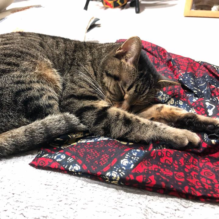 Cf3335ce aaf7 47e3 94cb 36bbc75a72c7 1580568059263