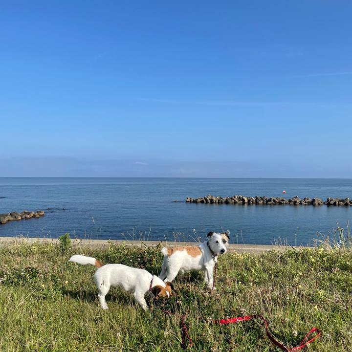 Cf33db66 6385 48c2 9db6 fc71d30b7c3c 1624580374125