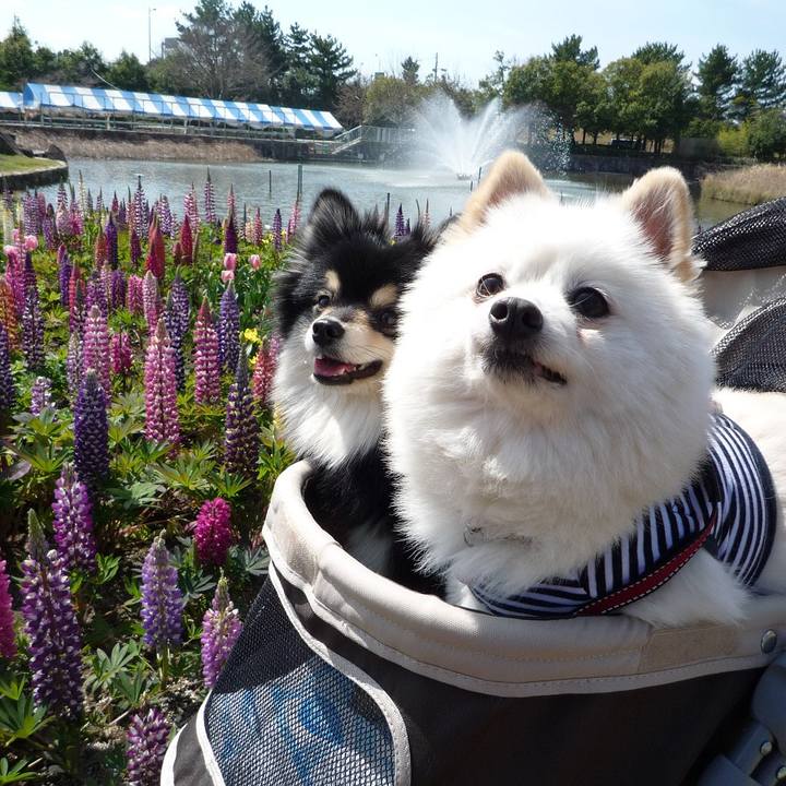 Cf33e301 6d19 4226 9bfe 7bb509da8643 1553044978887