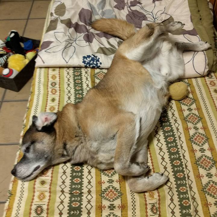 Cf3410c8 d4ac 4e6c 94e6 130ae88cdbb6 1550758691520