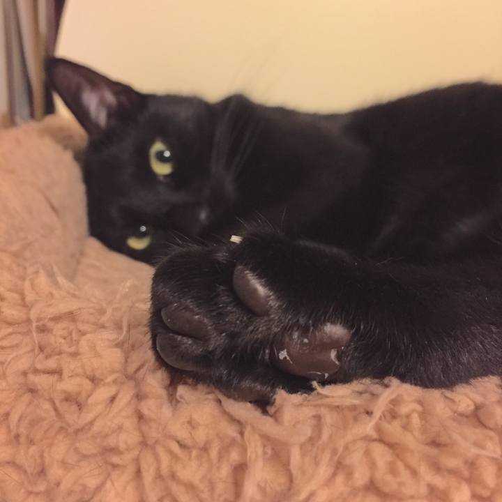 Cf34767f 7256 42fb 9e23 96dee0b142c8 1509205212760