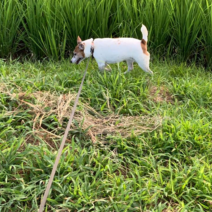 Cf34f0c1 928d 4660 9192 8c7a056dbcbf 1597096542758