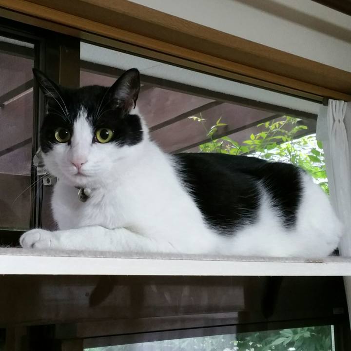 Cf352f3e 0487 42c7 9b9e 6d4c75c642e6 1530054231316