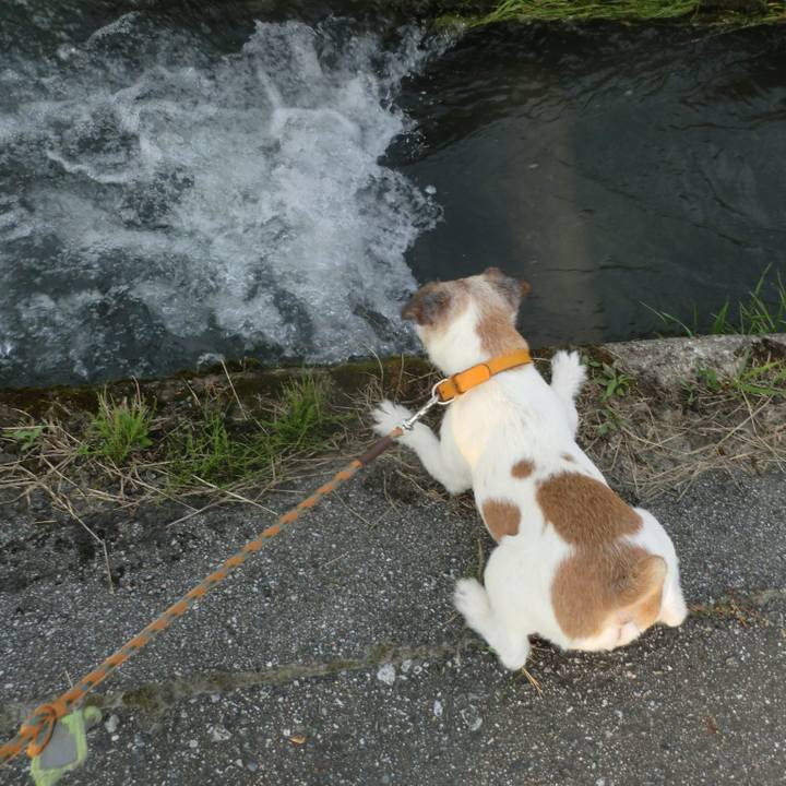 Cf356776 cb27 407a ad63 96ee29bb7b87 1562668152426