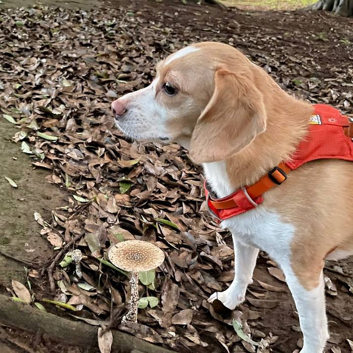 Cf35bba0 8629 4580 9465 276b42465aa4 1626005283924