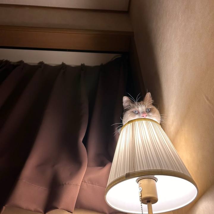 Cf35ef17 51e4 4b3c 8271 de7b679bdd64 1767953238231