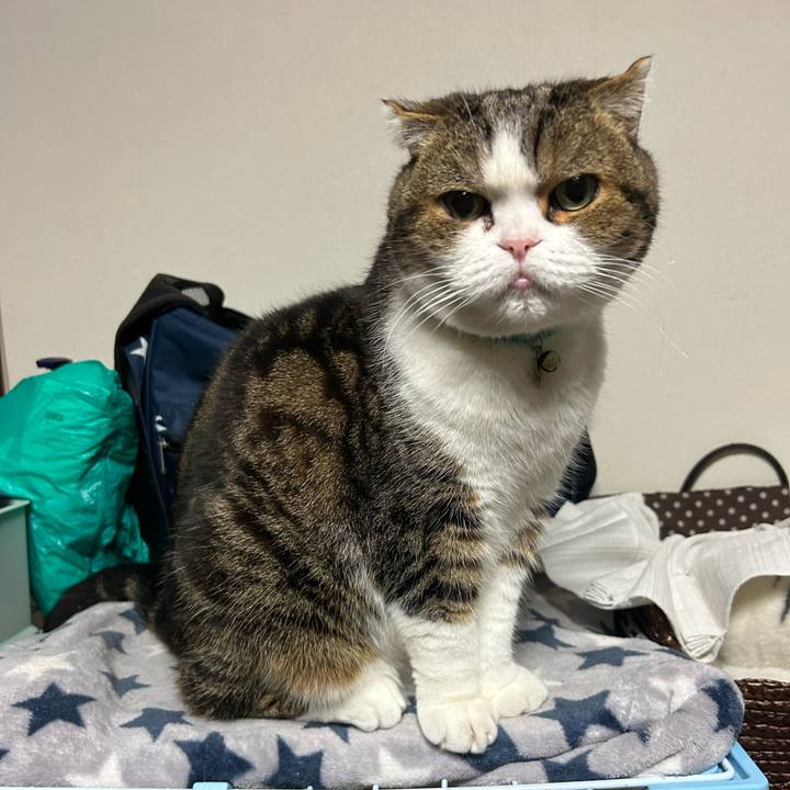 Cf360974 52e2 4c4a 8431 3bb76d460d2d 1769028508596