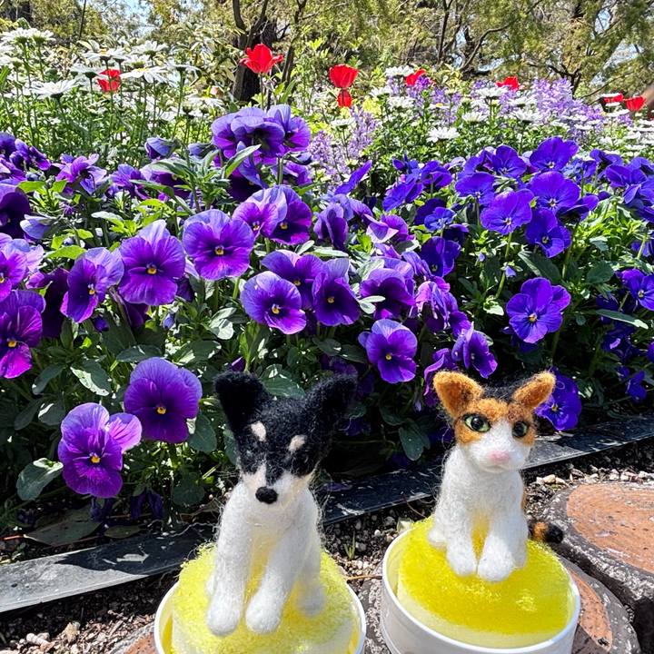 Cf360dd0 01ea 49e5 b634 c0eefae6c073 1743914057994