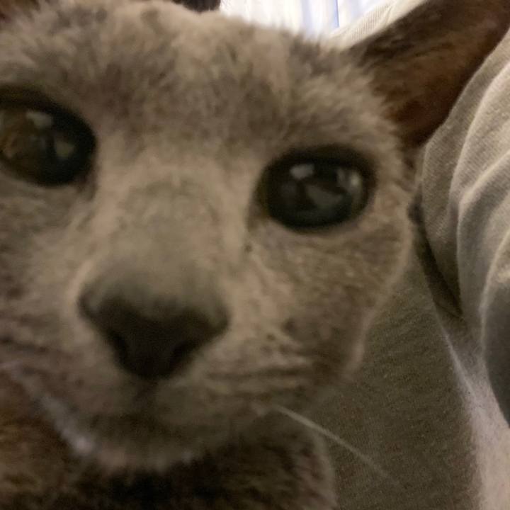 Cf361254 fd30 4bf9 8a0c 56cd0043d0e3 1580081096572