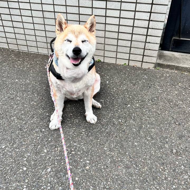 Cf361a42 86d2 4e3b 810f 1a8f8556a915 1752277200542