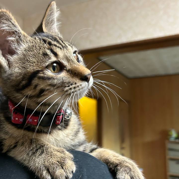 Cf366f09 2737 460c b299 7eabaa6c8ee1 1728805403207