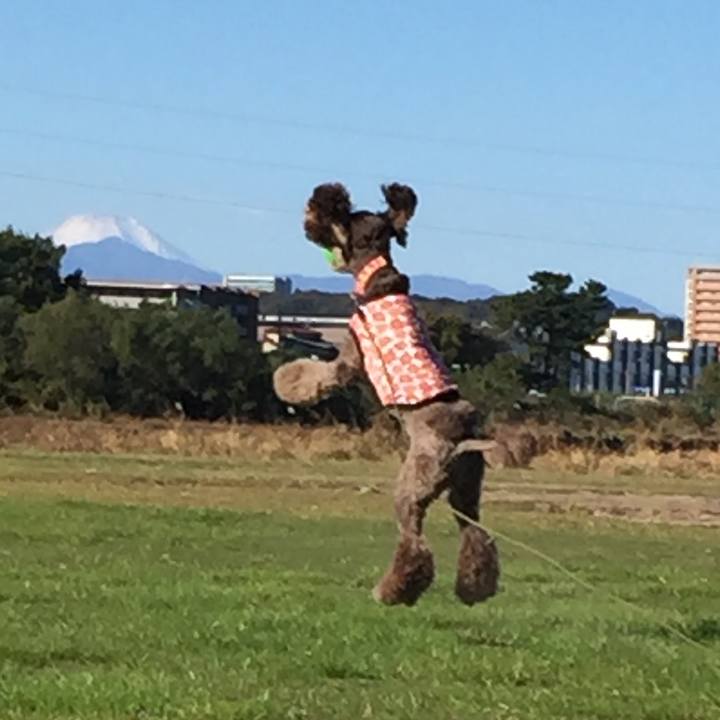 Cf367a93 3ad6 45d2 9cc1 7e0269c585d5 1510501177371