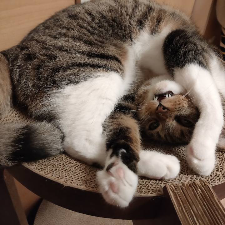 Cf36b1db 16d3 4e2c b2f9 364c07b3ef8e 1660724195283