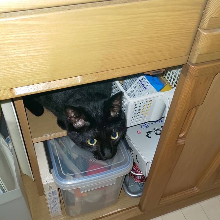 Cf36d802 7019 448d 8805 cdc461a137b1 1562585830962