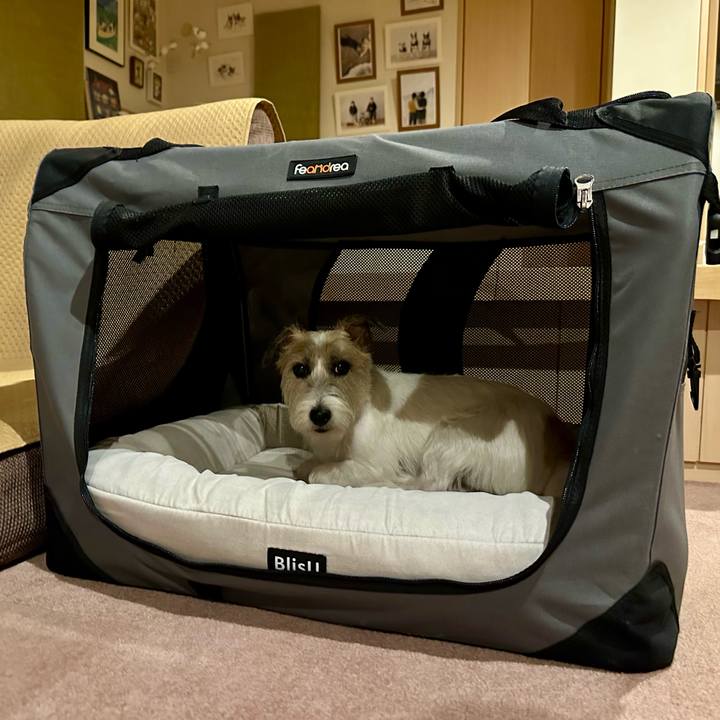 Cf36e217 f826 4fc6 a4e7 34b52d123a03 1754658262831