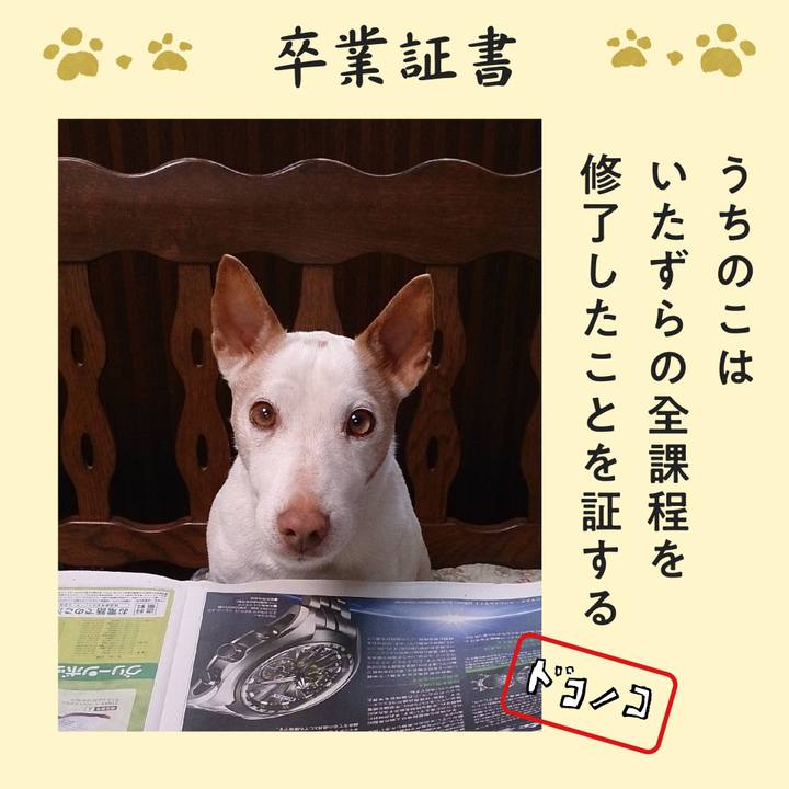 Cf37079a 8040 4753 b493 13a3e88a4429 1772065746704