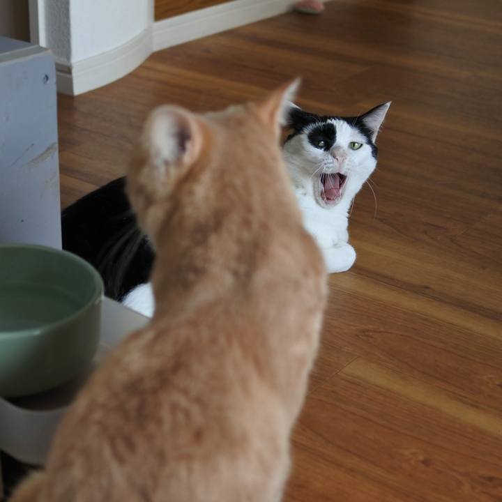 Cf372a7d cac1 4647 8bae 721a4f49d3d3 1723814752853