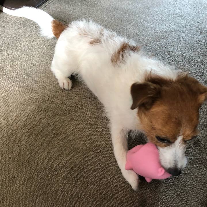 Cf372f31 79b8 45c0 8ca3 9a0d2cadf0a9 1525501020283