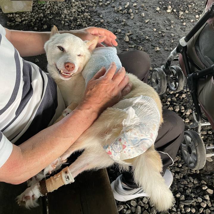 Cf37be25 7c54 4ccd 83f2 ca919ff90593 1689294970746