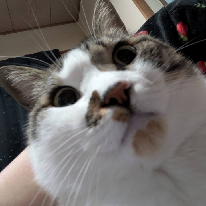 Cf37f2e4 c007 488d 8591 8c8fd2c86abd 1746515718586