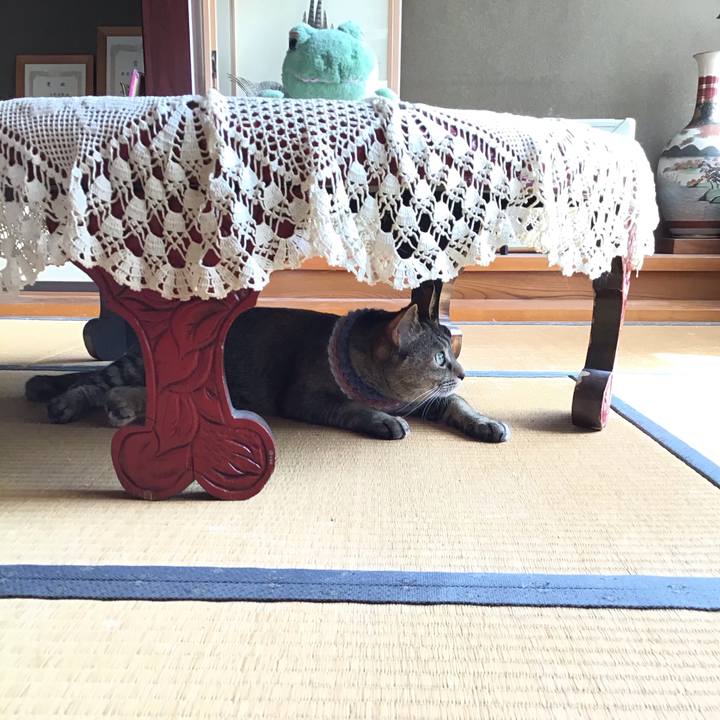 Cf37f692 646e 47aa be8b 1d7959bc0158 1620520969414