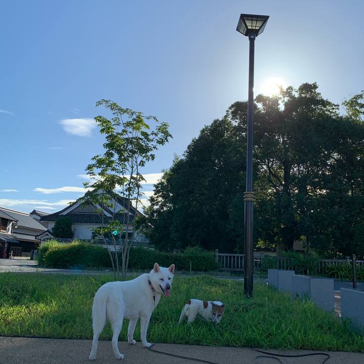 Cf3812ae 7e3b 4499 b455 23e5ef9f84b9 1567895950898