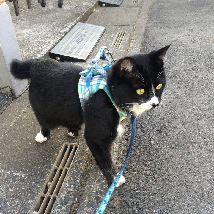 Cf3839ca 2261 45ff 9d8a 4baf4fad0ce4 1515301940429