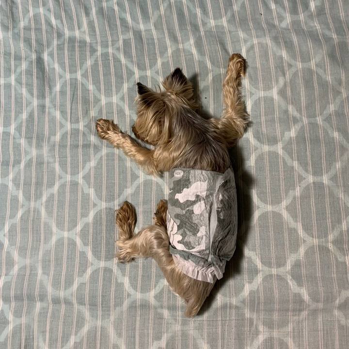 Cf384afd b935 4dbd 82e4 7eaab78d27e7 1697967304152