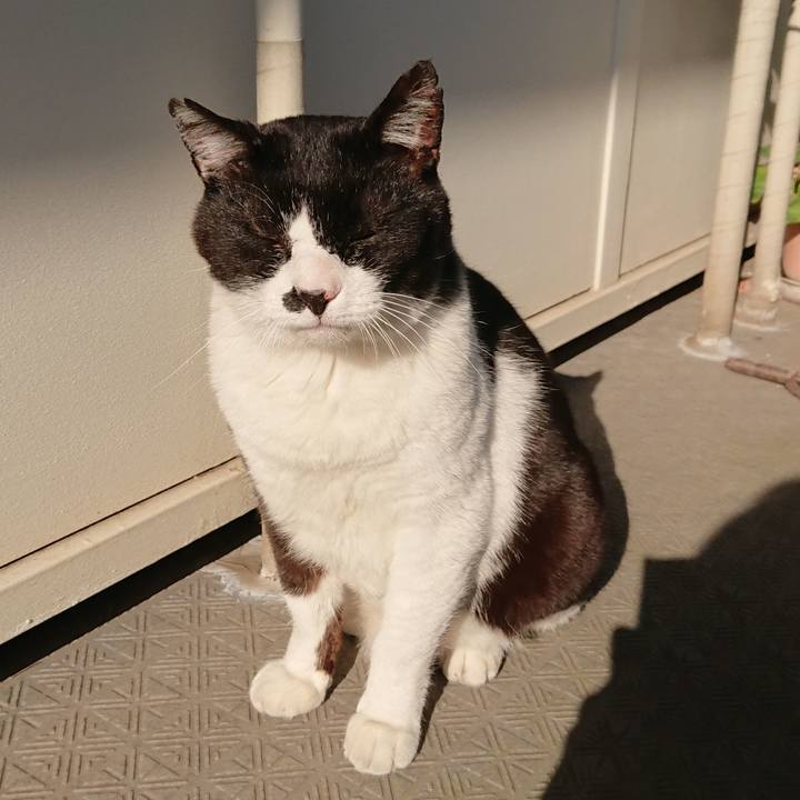 Cf38910e 3011 4e15 8f4f 578f6b412cc2 1526946729773