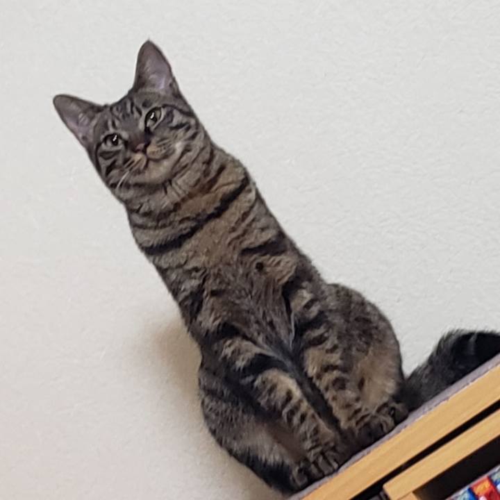 Cf389980 c661 47e9 8630 b107a5530a03 1557073160697