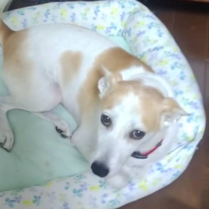 Cf38b590 cbf5 4e6f a32a 9ece4a2e0bc4 1631235663280