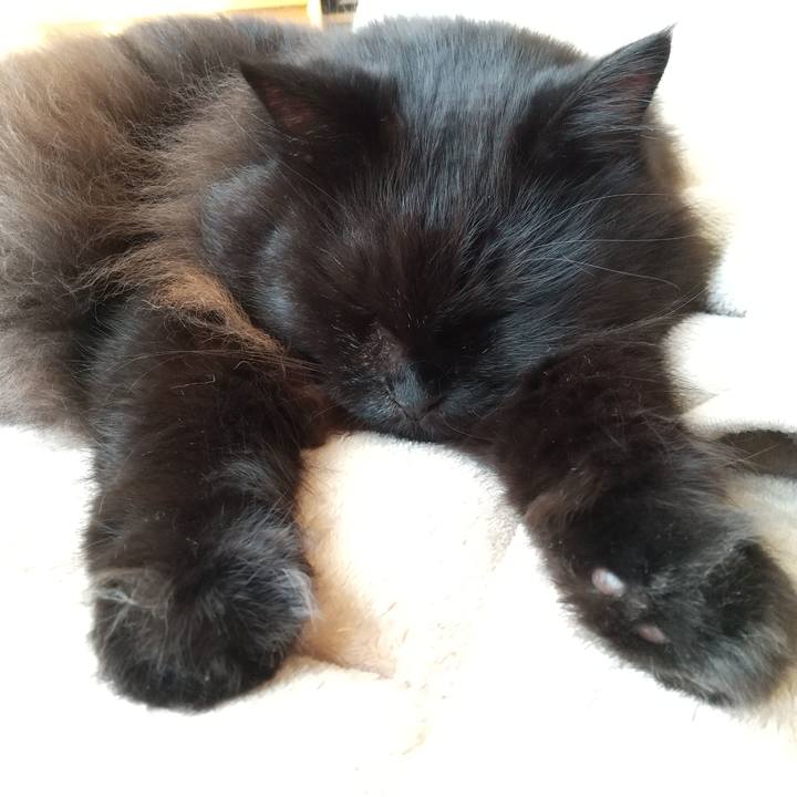 Cf38b8bf 0d75 46e4 a393 9e3ed77d5472 1634773805578