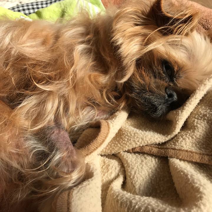 Cf38d99c 3213 4f7e b7c2 be645fd39e87 1517371687951