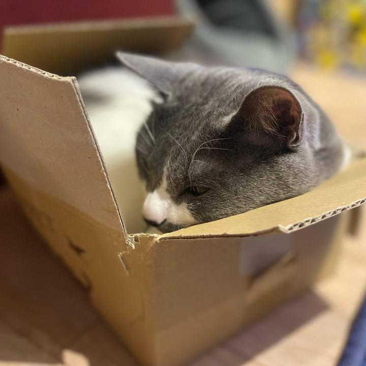 Cf38f1de 8a0c 4d78 a9b3 0f036776b1fc 1647170187702