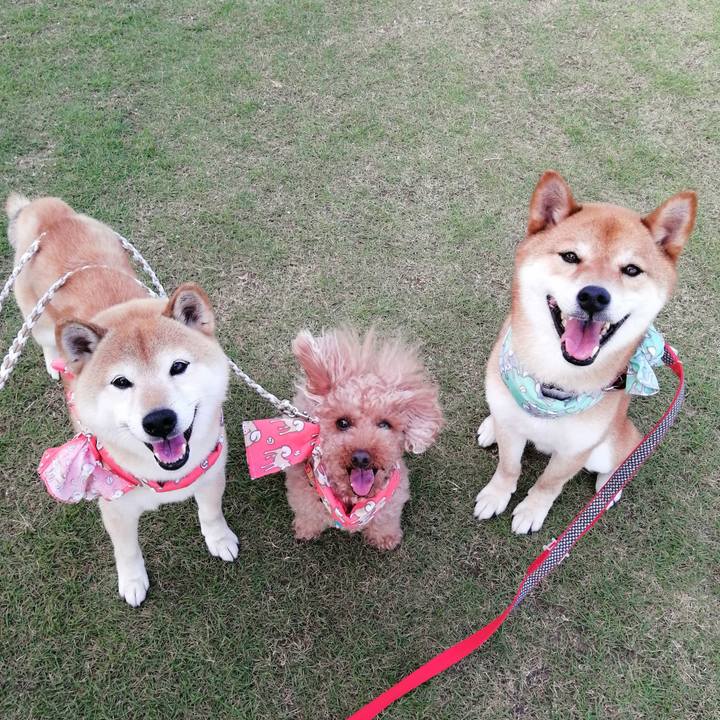 Cf39295e d9a4 4ca6 a0bb 81e2b5b9527a 1591788865288