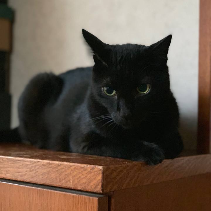 Cf392e54 e6a8 4c37 b9e9 8e204143e49c 1565484846309