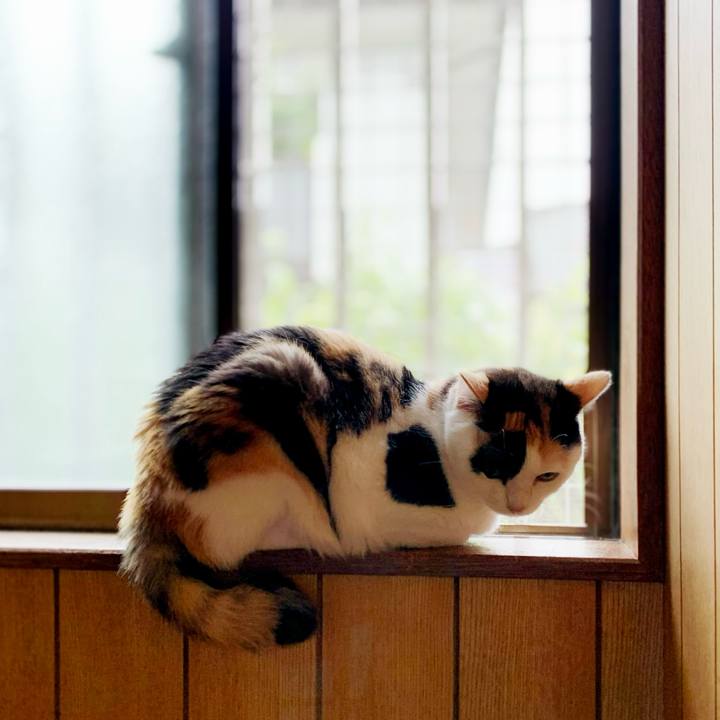 Cf393340 41cb 4217 896e f29010a050b7 1596678168621