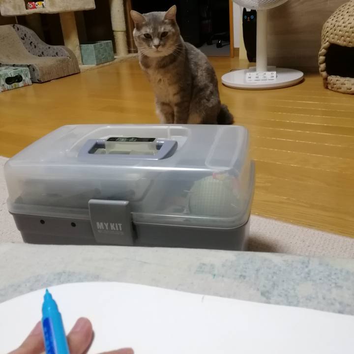 Cf39557f 0474 4d2b afd6 2bb784ea946f 1533823117757