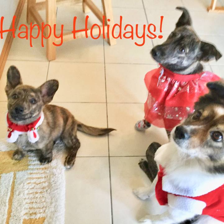 Cf39ad3b 7d6c 426a 8407 7f24331ebc9f 1545472450933