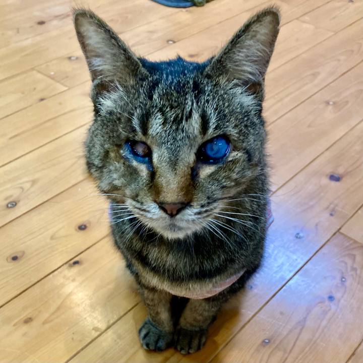 Cf39ad41 a0f0 4f63 ab23 d21833720217 1680083274788