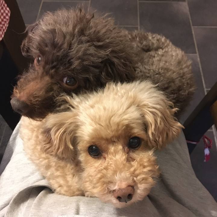 Cf3a1574 7d24 4ebb a8de 5b90d713476b 1581325146716