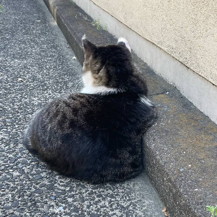 Cf3a26fa 21d2 4fae a53f d52d53d49cfe 1653708443794