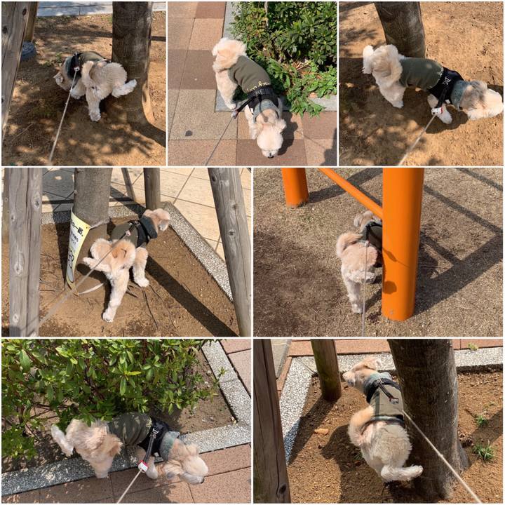 Cf3a2adb 3109 44f5 97d5 4043f3c81b39 1552806609864