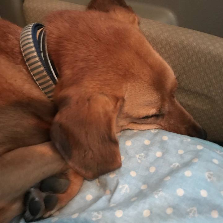 Cf3a3bcd b58b 4bb5 a249 f9b020bb86dd 1537192113633