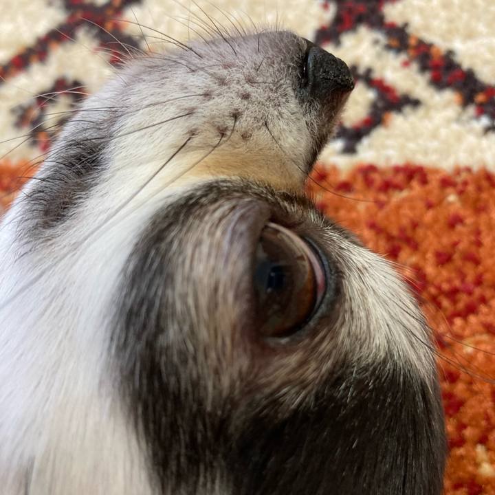 Cf3a436b a57e 4a77 8c20 9aee45ba1bb6 1676213177144