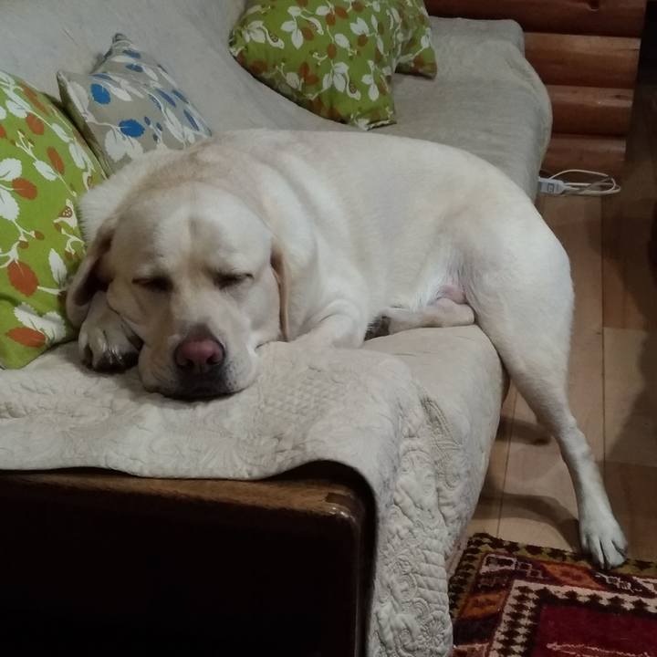 Cf3a8258 d40a 4500 bd23 2834297f0347 1540722604439