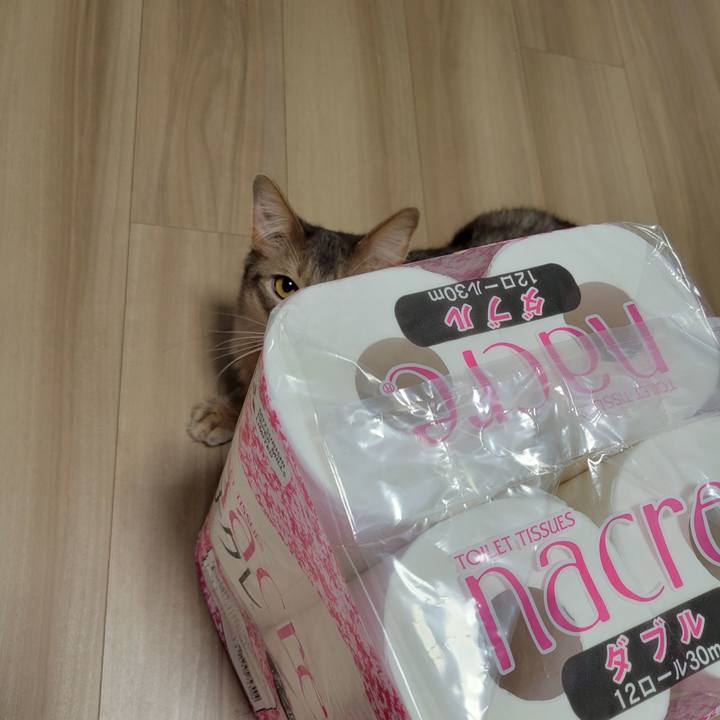 Cf3aa10b 1bab 4395 985d 32647eda5517 1649256871146