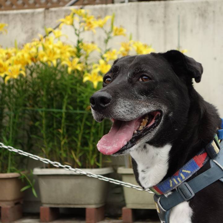 Cf3ab056 8f18 468e a54f ca2ef8dddea8 1718498074327