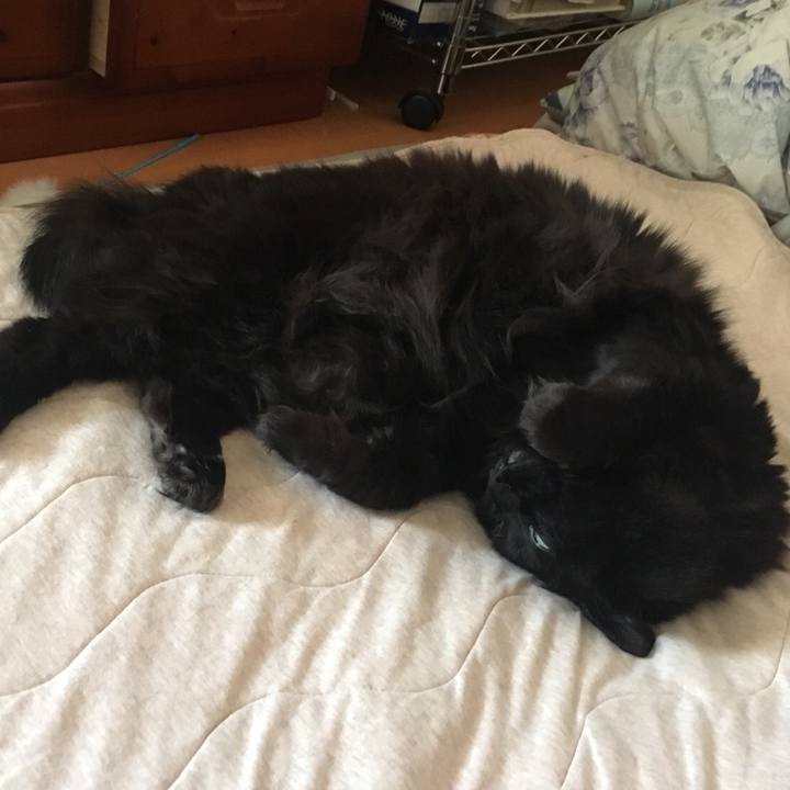 Cf3ad86e ff34 451d 9e26 19ef2fea2e67 1554246500038